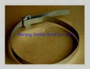 Ss 304, Ss 316 Stainless Steel Band