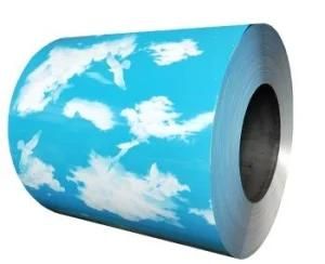 Galvanized Steel Coil /Hot Dipped Galvanized Steel Coil PPGI PPGL