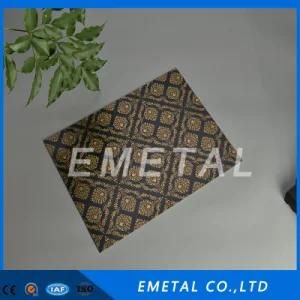 Decorative Stainless Steel Sheet with Hairline, Etching and Colors