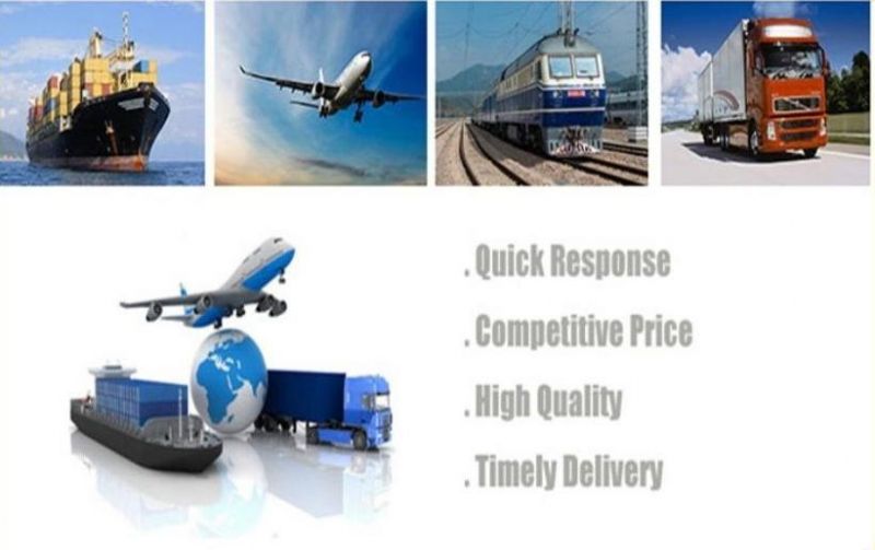 Wholesale Q195 Dx51d Ss400 Carbon Steel Coil with Factory Price