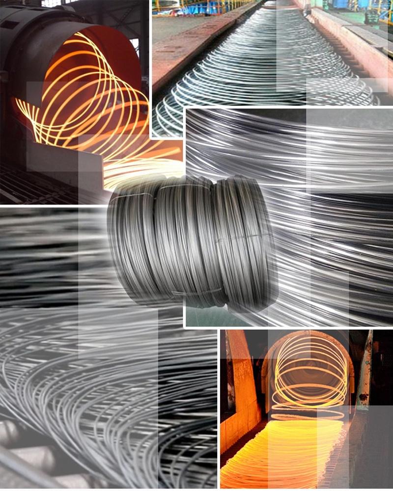 Brand New Low Carbon Steel Wire with ISO Certificate