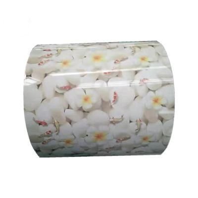 Ral Color Coated Dx51d Dx52D Dx53D PPGI PPGL Cold/Hot Rolled Prepainted Galvanized Steel Coil