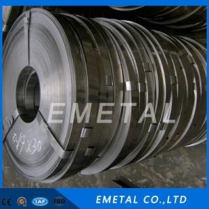 Competitive Hot Rolled 304 Stainless Steel Coil No. 1 Finish