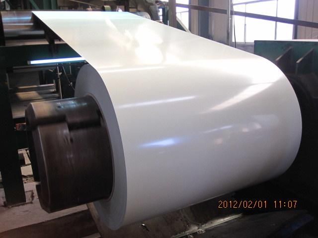 Prepainted Gi Steel Coil / PPGI