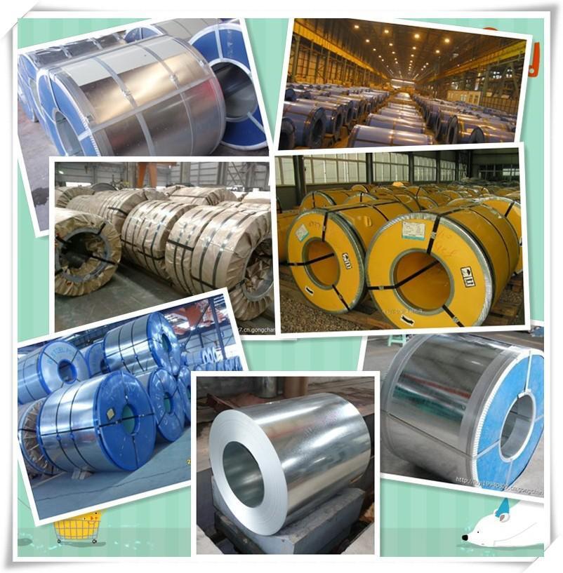 Hot Rolled Q125 Q195 Q235 Q345 Ss400 SAE1020 SAE1040 DC01 DC02 Carbon Steel Coil/Strip