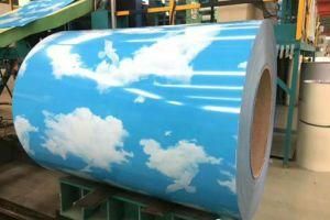 Print Design Flower Color Coated Steel PPGL (PPGI) Coil 0.35*1220mm