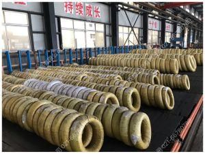 Wire Drawing Pure Iron Wiredt4/Dt4c/Dt4e