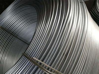 Q195 Q235 45# 60# 65# 70# 80# 82b Mesh Steel Wire Rod