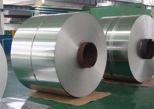 DIN GB 2205 Stainless Steel Strips for Boiler