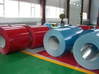 Color Coated Steel Coil/Sheet