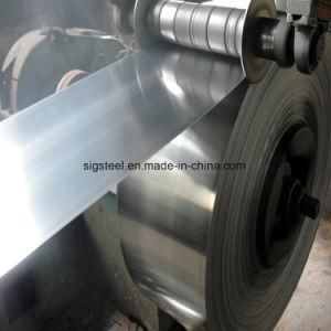 Hot Dipped Galvanized Steel Coil Sheet Competitive Price