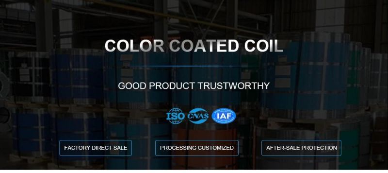 Building Material Cold Rolled/Hot Dipped PPGI/HDG/Gi/Secc Dx51 /G550/CGCC/TDC51D+Z Zinc Coated Colors Pattern Galvanized Color Coated PPGI