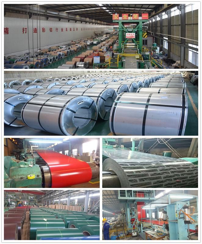 Color Coated Coil/ PPGI for Building