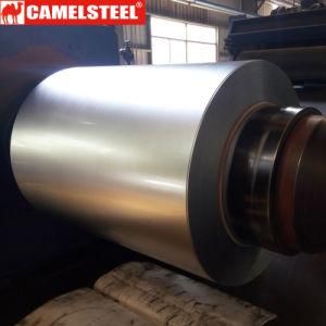 Galvanized Steel Coil From Camlesteel