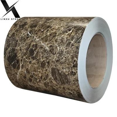 Prepainted Color Coated Steel Coil/Sheet/Plate PPGI/PPGL for Metal Roofing Sheet