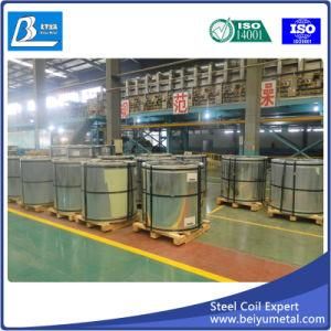 Galvanized Steel Coil with Good Quality