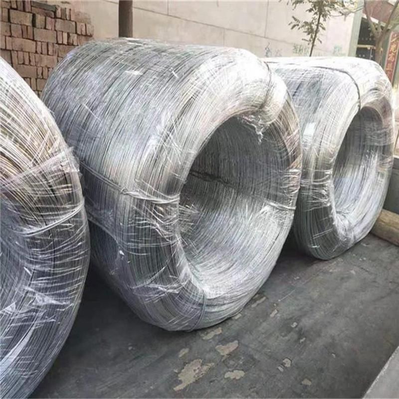 Hot/Electro DIP Galvanized Steel Wire Low Carbon Iron Wire for Mesh Chinese Manufacturer Best Price