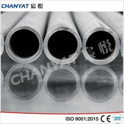 Seamless Super Stainless Steel Pipe and Tube (1.4539, 1.4547, 2RE69, 3R60, 1.4466, 1.4435)