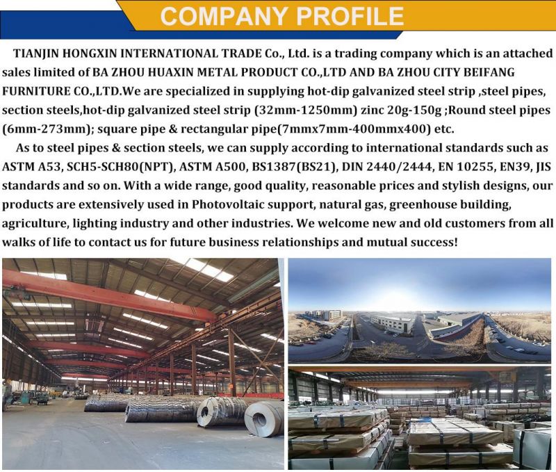 Prepainted Galvanized Steel Coil Factory/Sheet/PPGI/Dx51d/ China Iron Steel