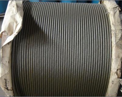 1X7, 7X7, 1X19, 6X19+FC/Iws Rope Price/Hoisting/Cableway/ Stainless Steel Wire Rope/Aircraft Cable