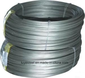 Stainless Steel Wire Nikel Alloy Wire 317L