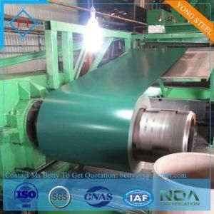 Prepainted Gi Coil PPGI