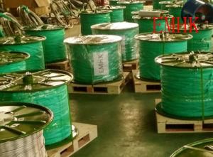 ASTM A249 304 Coiled Tubing, 10mmod, 1mm Thickness Supplier