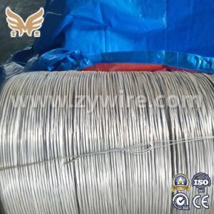 Tianjin Supplier Galvanzied Stee Wire