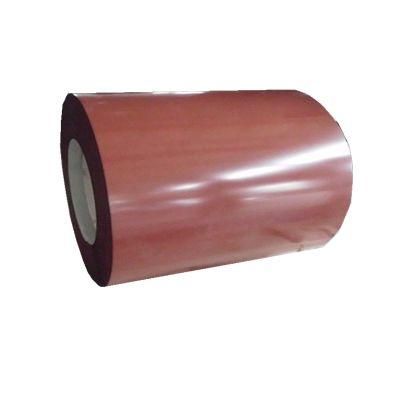 SGCC Sgcd Ral Color Coated PPGI Galvanized Steel Coil