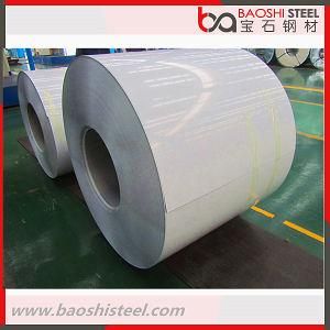 Color Coated Prepainted Galvanized Steel Coil