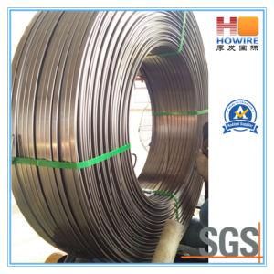 High Precision Cold Rolling Flat Steel Wire, 0.5mm -5mm Thickness, 5mm-25mm Width