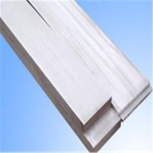 ASTM Hot Rolled 304L Stainless Steel Flat Bar