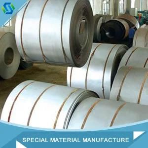 Best Quality N08926/25-6mo/1.4529 Super Austenitic Stainless Steel Strip/Coil/Belt
