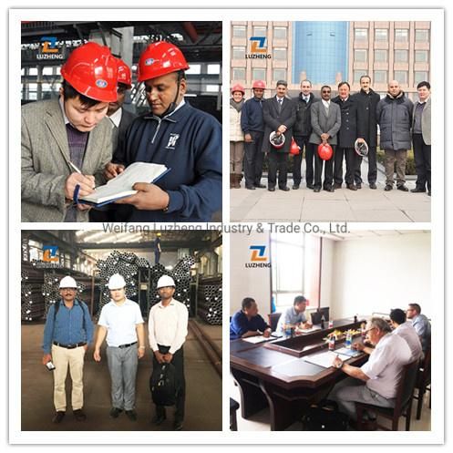 ASTM A335 ASME SA335 P22 P11 P5 P12 P21 P91 High Temperature Boiler Seamless Steel Tube Pipe