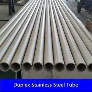 S31803 S32205/Saf2205 S32750/Saf2507 Stainless Steel Pipe in Seamless