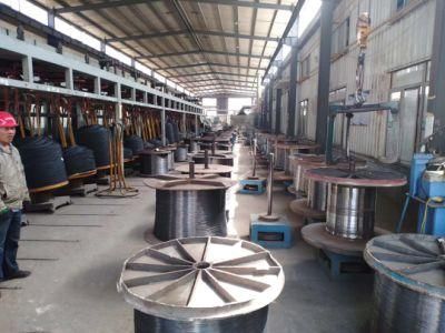 Customized Endless Steel Wire Rope for Sling