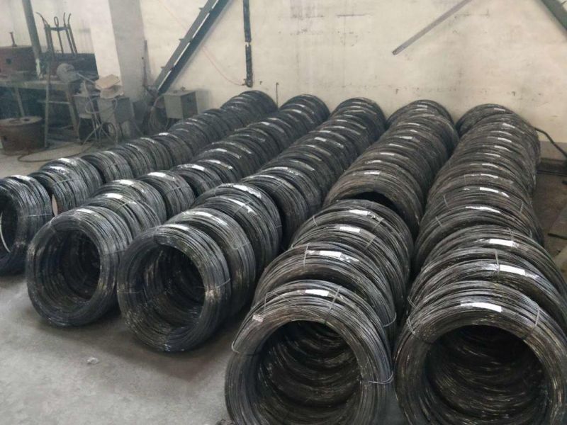 Good Price SAE1008b Dubai 5.5mm Steel Wire Rod in Coils