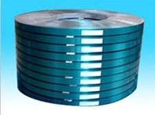 Cold Rolled Stainless Steel Strip 400serious