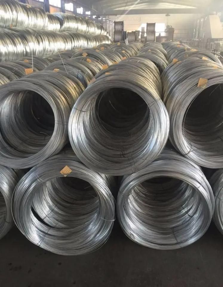 SUS201 304 304L 316 316L Stainless Steel Wire