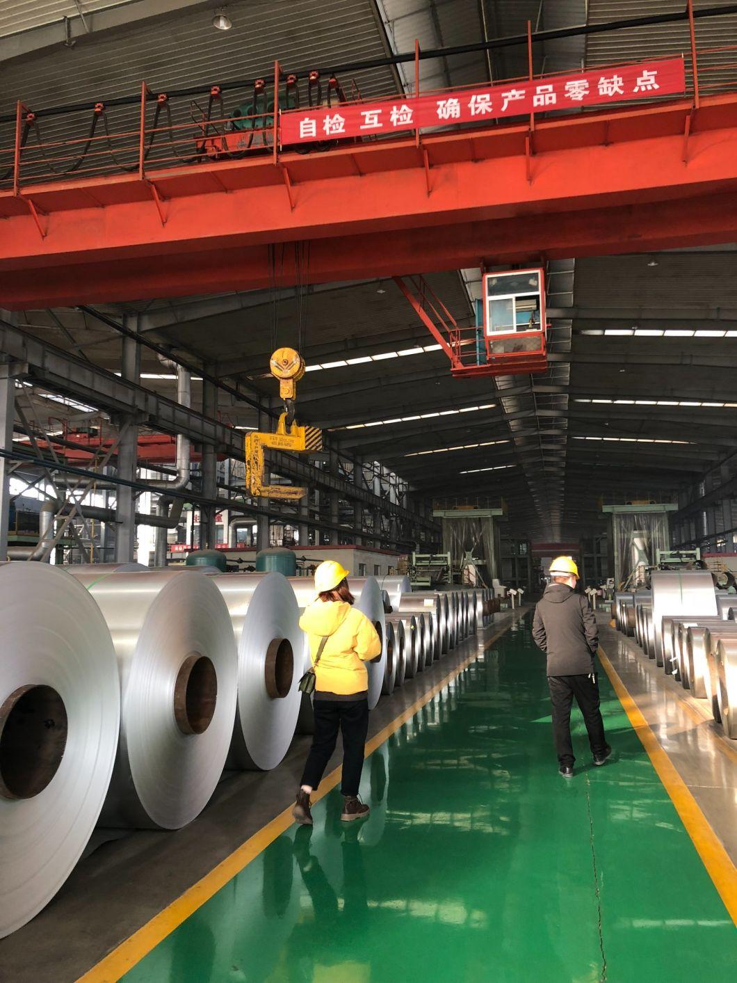 Cglcd Galvanized Steel with Lacquer Coating PPGI PPGL