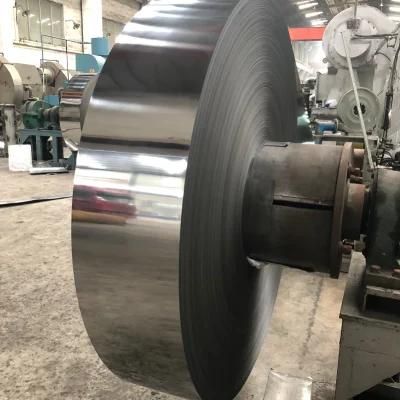 Wholesale Soft Hard 0.1 0.5 mm SS304 316 Stainless Steel Strip