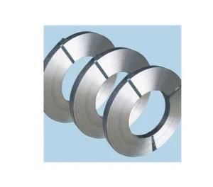 Precision Spring Stainless Steel ASTM 201 301 304 Steel Strip