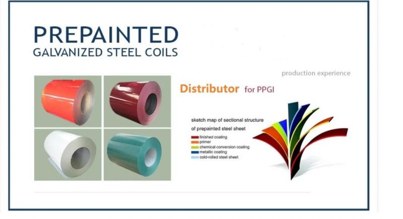 PPGI/Prepainted Color Coated Steel Coil for Building Material