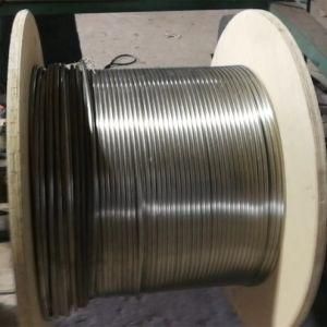Supply Seamless Stainless Steel Coil Pipe for Heat Exchangers 304 316