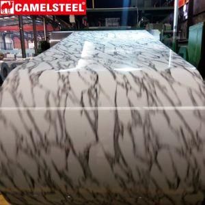 Prepainted Gi Steel Coil PPGI PPGL Color Coated Galvanized Steel Sheet in Coil