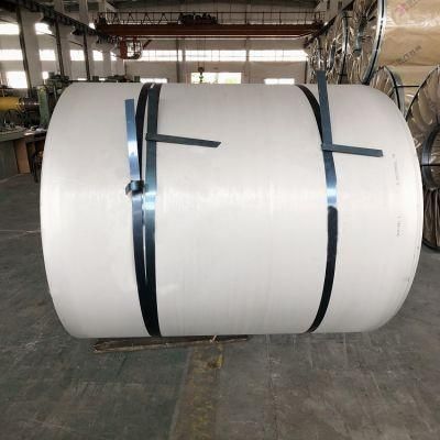 304 316 En/ DIN 1.4401 Hot Rolled Stainless Steel Coil