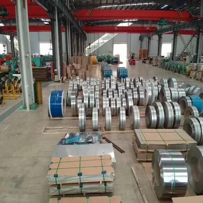 8mm Hot Rolled 310 310S Stainless Steel Coils for Furnace Shells