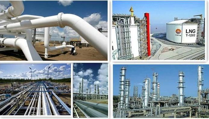 Top Quality API 5L ASTM A106 A53 Carbon Seamless Steel Tube