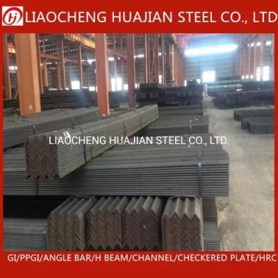Hot Rolled Galvanized Angle for Building