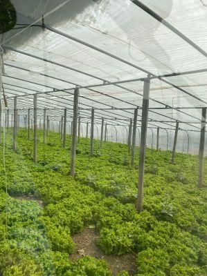 Lowest Price, Planting Greenhouse, Farming Greenhouse, Greenhouse Accessories, HDG Pipe Structure